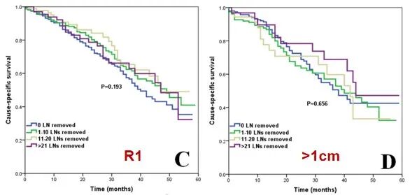 怎么使用妇科探针焦点视界丨宋坤教授：上皮性卵巢癌淋巴结切除术的必要性与临床应用_https://www.jmylbn.com_新闻资讯_第34张