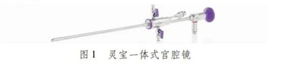 妇科器械怎么使用妇科宫腹腔镜微创技术临床应用专题丨徐大宝教授：宫腔镜技术及其应用的未来发展趋势_https://www.jmylbn.com_新闻资讯_第4张
