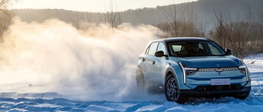 市场分化加剧，造车新势力面临生死考验