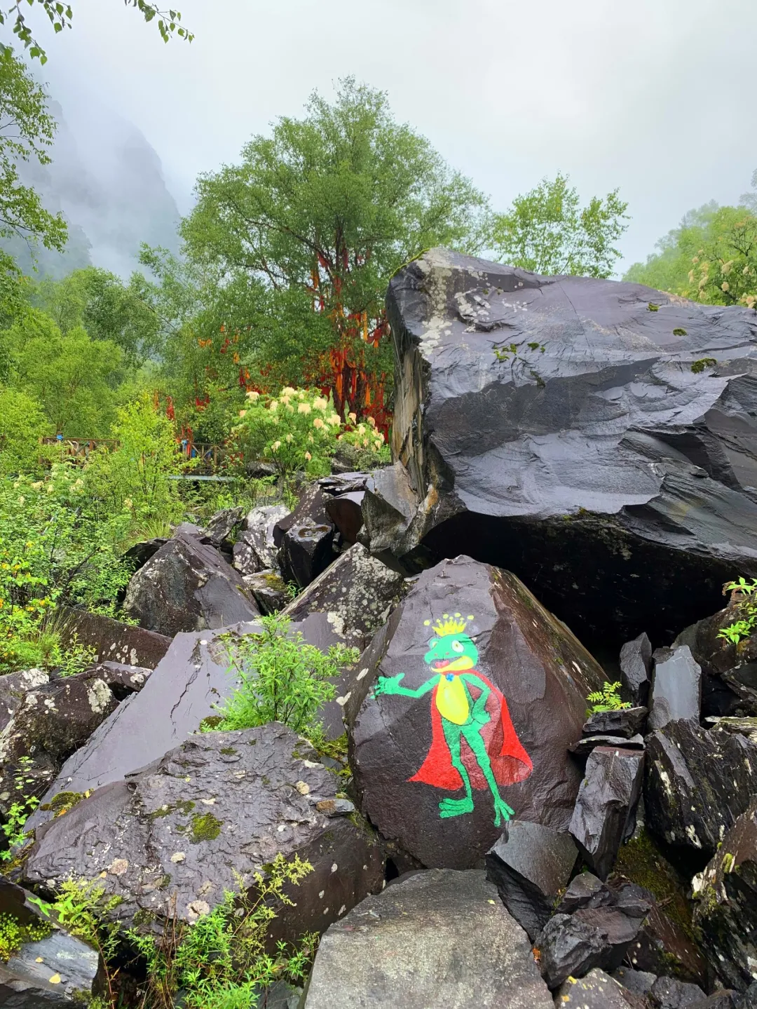 点击浏览下一页