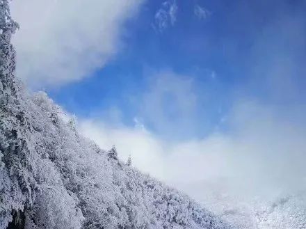 点击浏览下一页