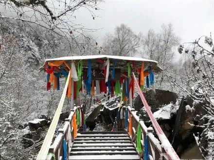 点击浏览下一页