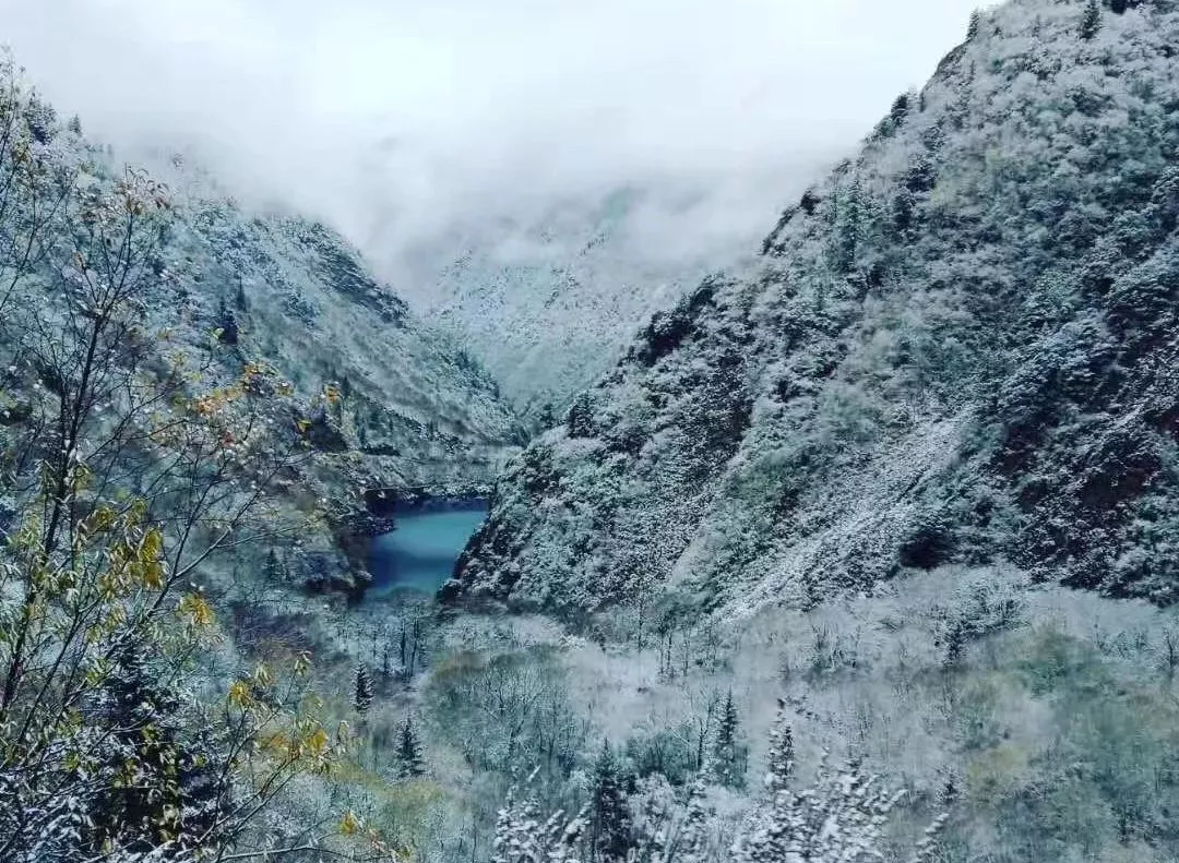 点击浏览下一页