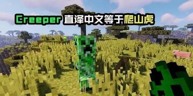 世间英语单词_世间英文_世间生物英文
