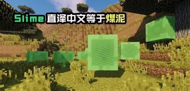 世间生物英文_世间英文_世间英语单词