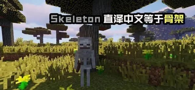 世间英语单词_世间英文_世间生物英文