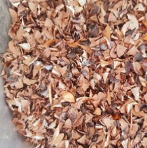 从数小时到几分钟：看蚂蚁科仪如何“刷新