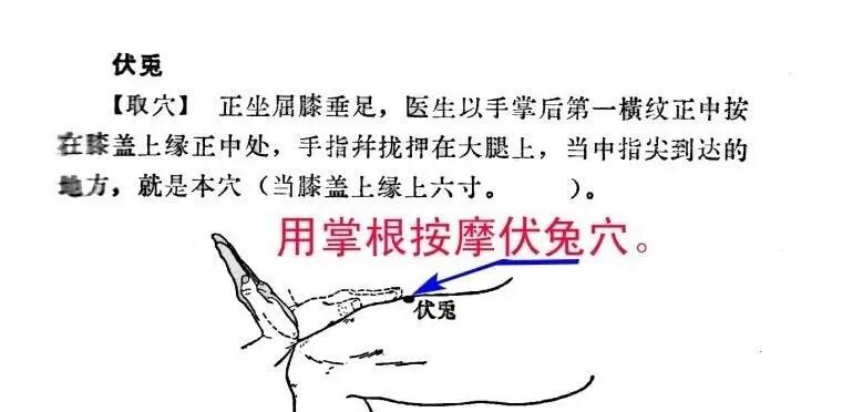 养身社 自由微信 Freewechat