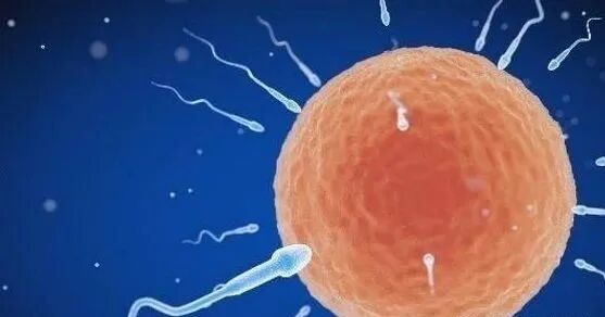 为什么剪脐带要先夹住脐带剪断的时候，到底是妈妈疼还是宝宝疼？别再猜了，看看就知道_https://www.jmylbn.com_新闻资讯_第1张