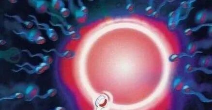 为什么剪脐带要先夹住脐带剪断的时候，到底是妈妈疼还是宝宝疼？别再猜了，看看就知道_https://www.jmylbn.com_新闻资讯_第3张