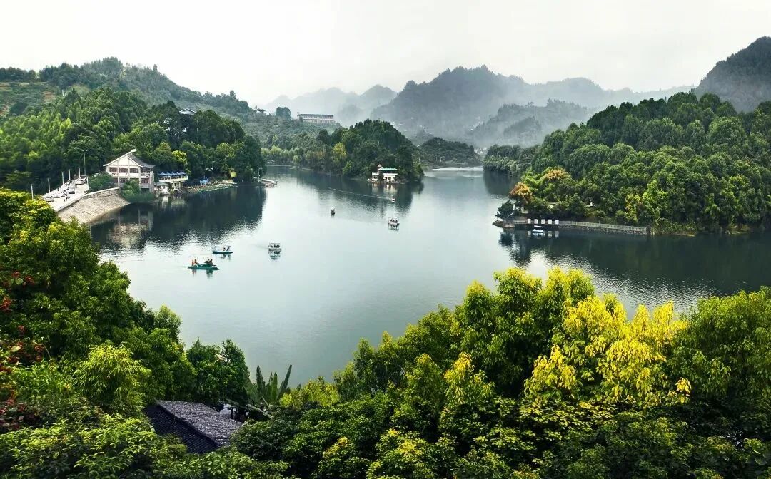 龙泉驿二十年一路振翼奋飞一路幸福美好