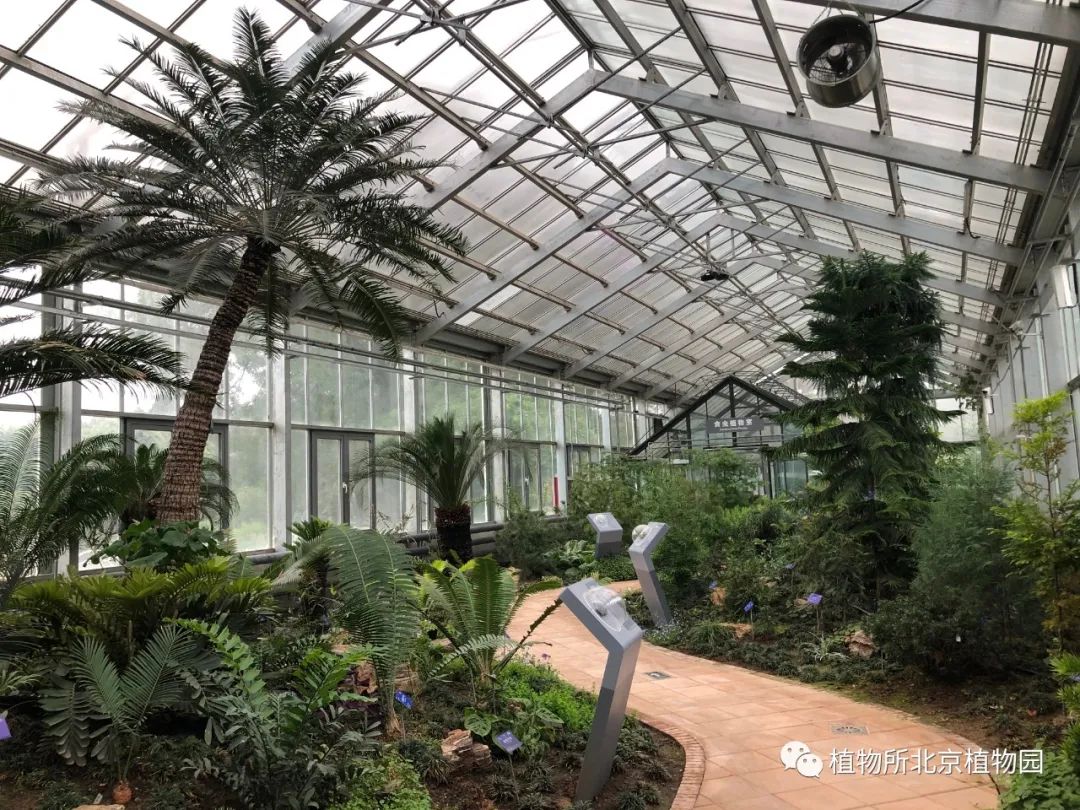 中国科学院植物研究所北京植物园展览温室恢复开放 植物所北京植物园 微信公众号文章阅读 Wemp