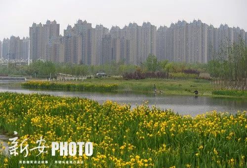 房屋托管是做什么的_房屋托管_房屋托管