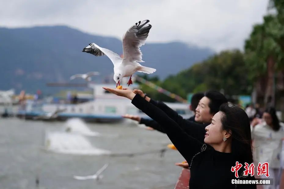 真正在那枚金牌没有但属于我