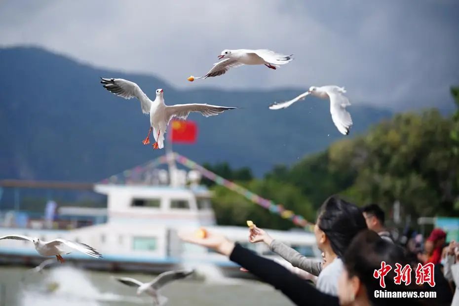 招止昆明分止多措并举 延绝提降付出便当性