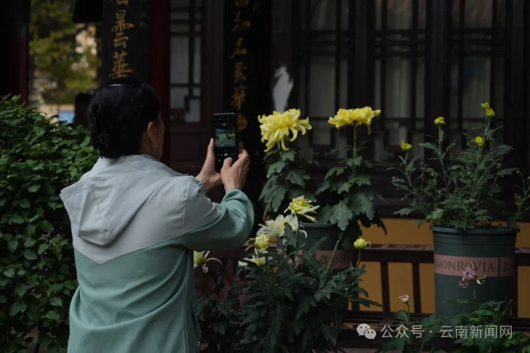 低碳确引荐荐项目量量过硬