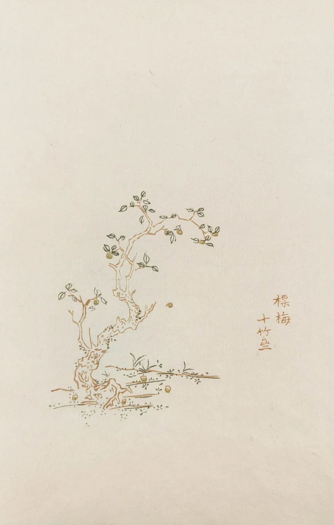 木版水印精品十竹斋笺谱欣赏六