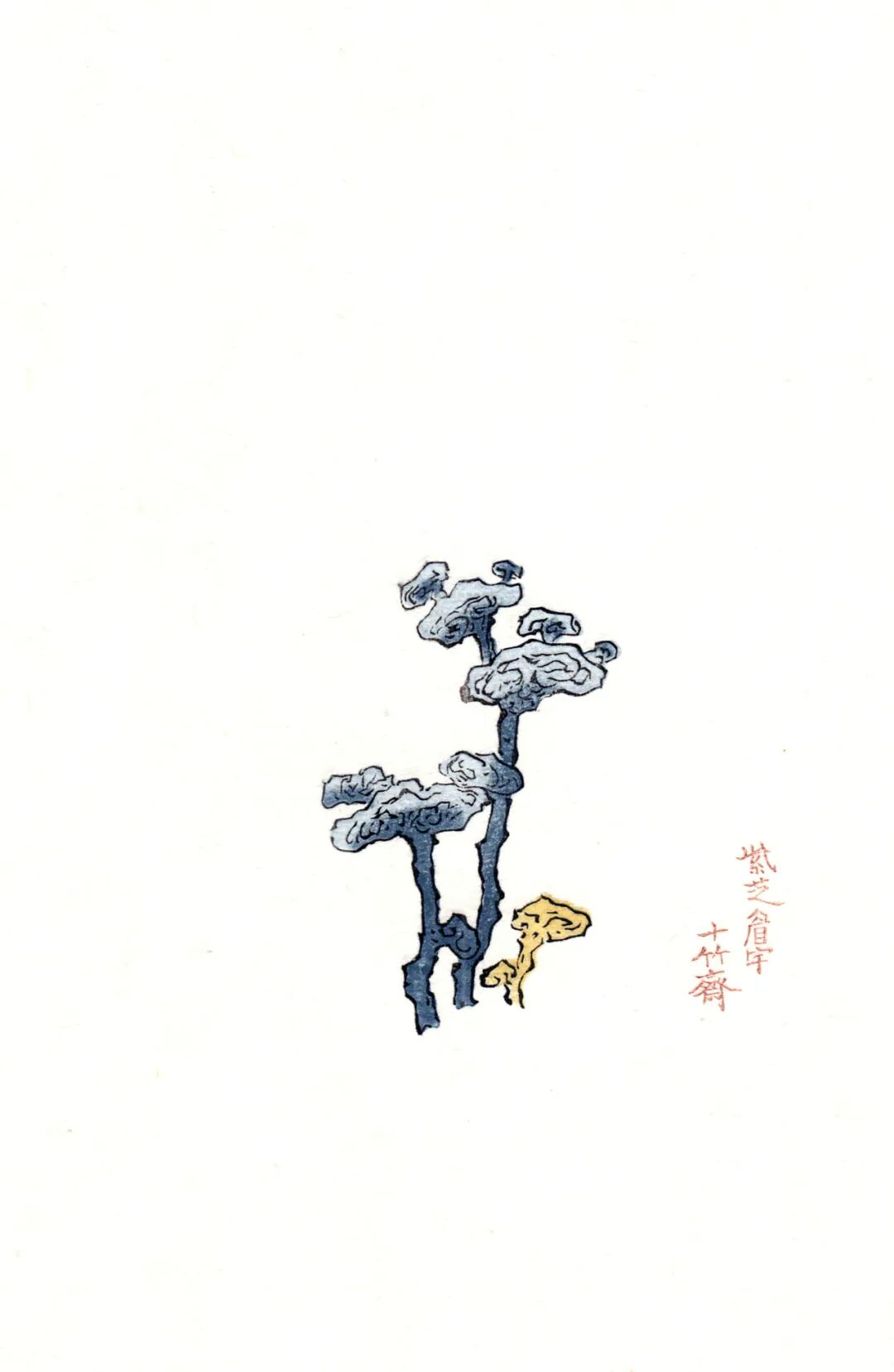 荣宝斋非遗木版水印精品十竹斋笺谱欣赏五