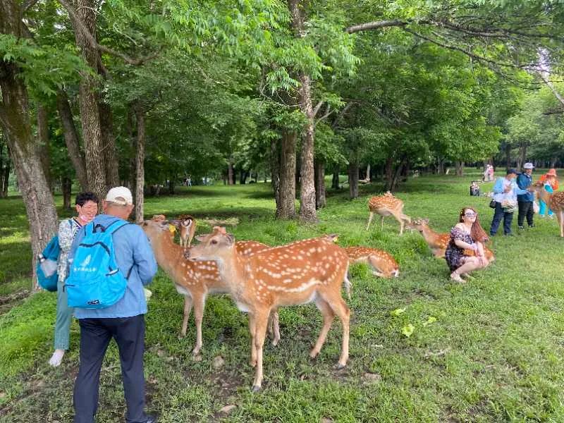 洗肺之旅，霍爾濱最強「深呼吸」！ 旅遊 第10張