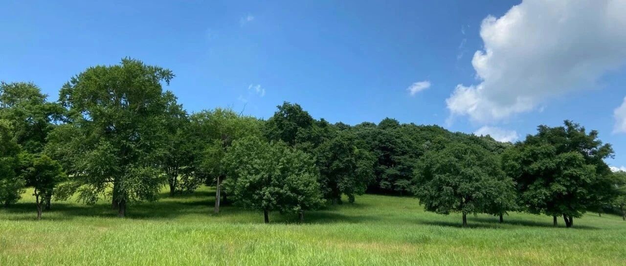 洗肺之旅，哈尔滨最强“深呼吸”！