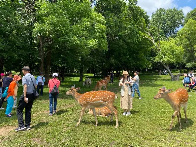 洗肺之旅，霍爾濱最強「深呼吸」！ 旅遊 第6張