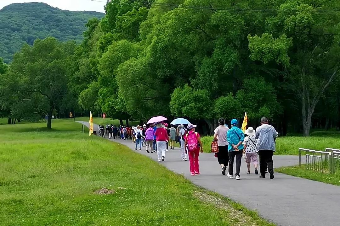 招募！8月1日再出發！擁抱森林 闖關奪寶 親子一日遊 旅遊 第8張