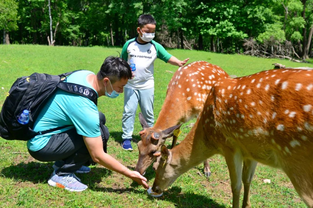 招募！8月1日再出發！擁抱森林 闖關奪寶 親子一日遊 旅遊 第7張