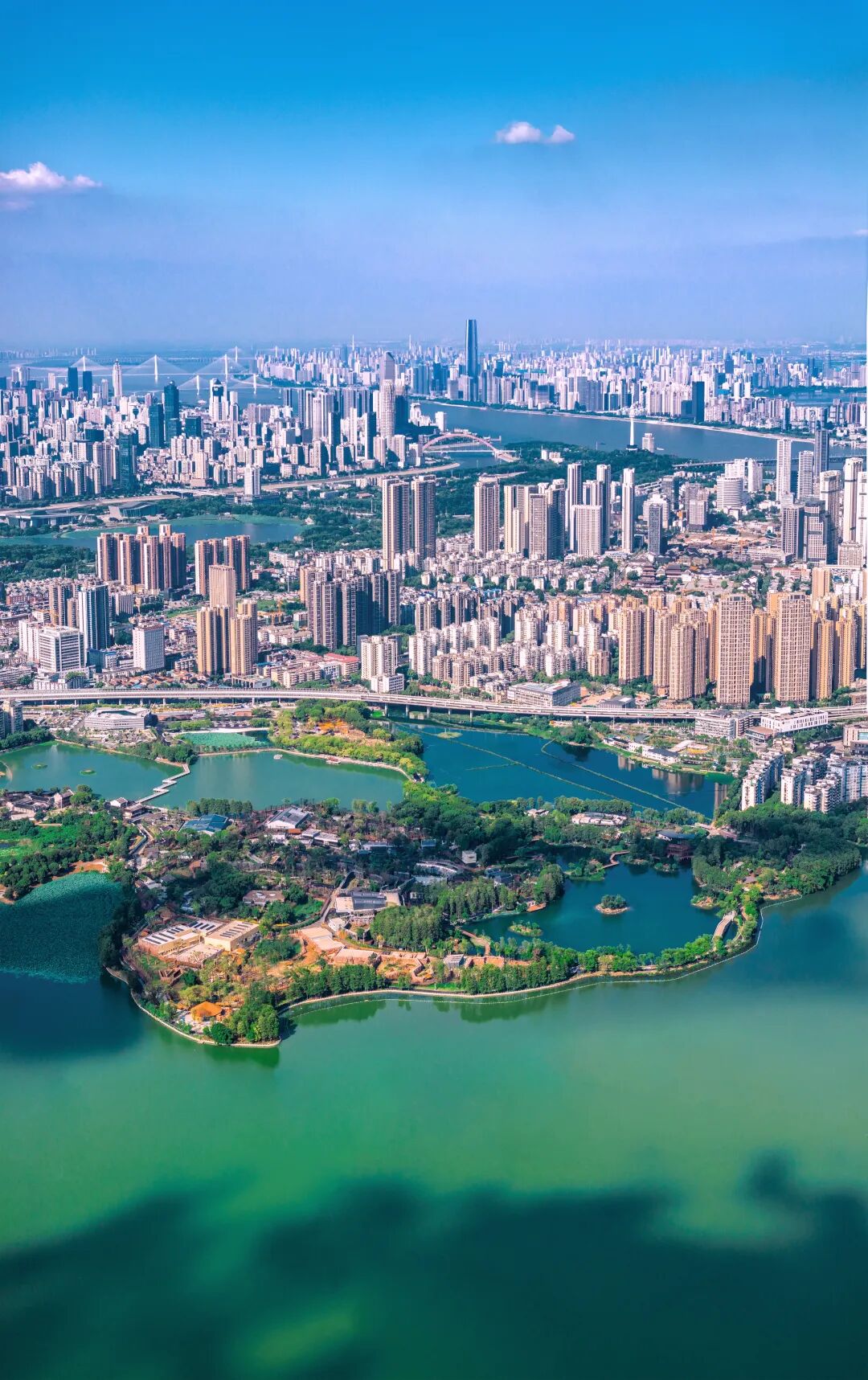 武汉市新建绿色驿站102个首推义务植树尽责权益兑换服务武汉创新义务