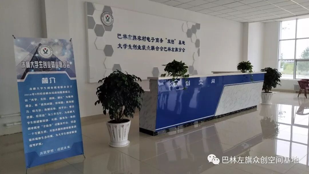 联合创业模式(平台型)_联合创业集团_大学生创业项目概述