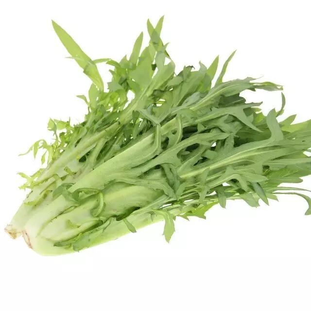 苦麦"春汤" 苦麦菜,盐,油,鸡精 苦麦菜洗净切段