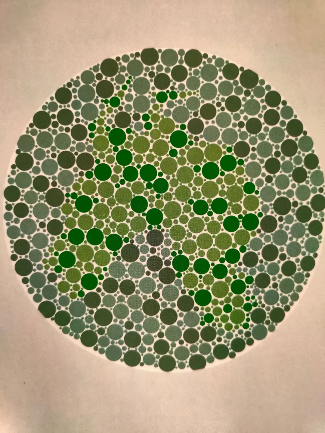 2020色盲测试图图片
