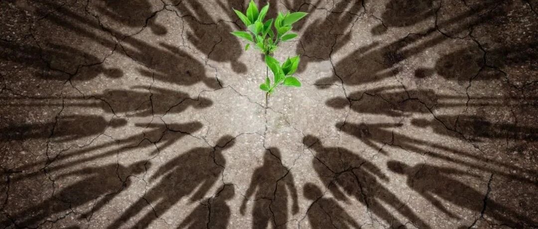 国内4款PARP抑制剂医保前后价格大比拼及未来PARP抑制剂联合用药方式一览