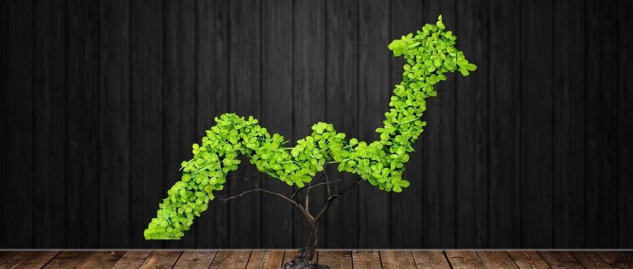 势头强劲！K药二季度销售额达34亿美元，增长29%