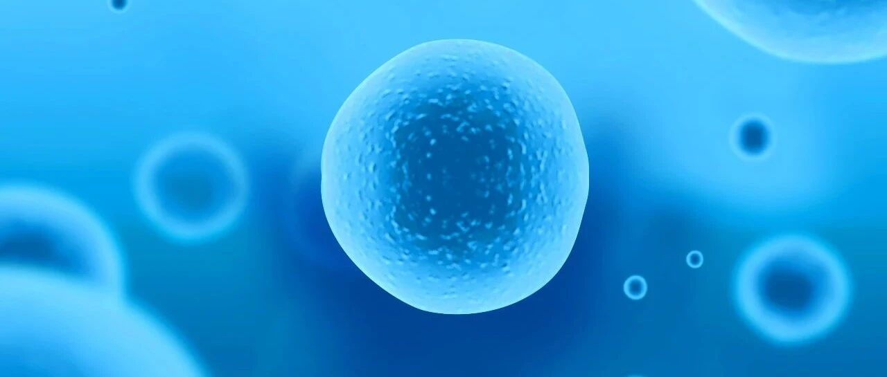 瑞石生物医药宣布新型高选择性JAK1抑制剂治疗特应性皮炎II期临床达到研究终点