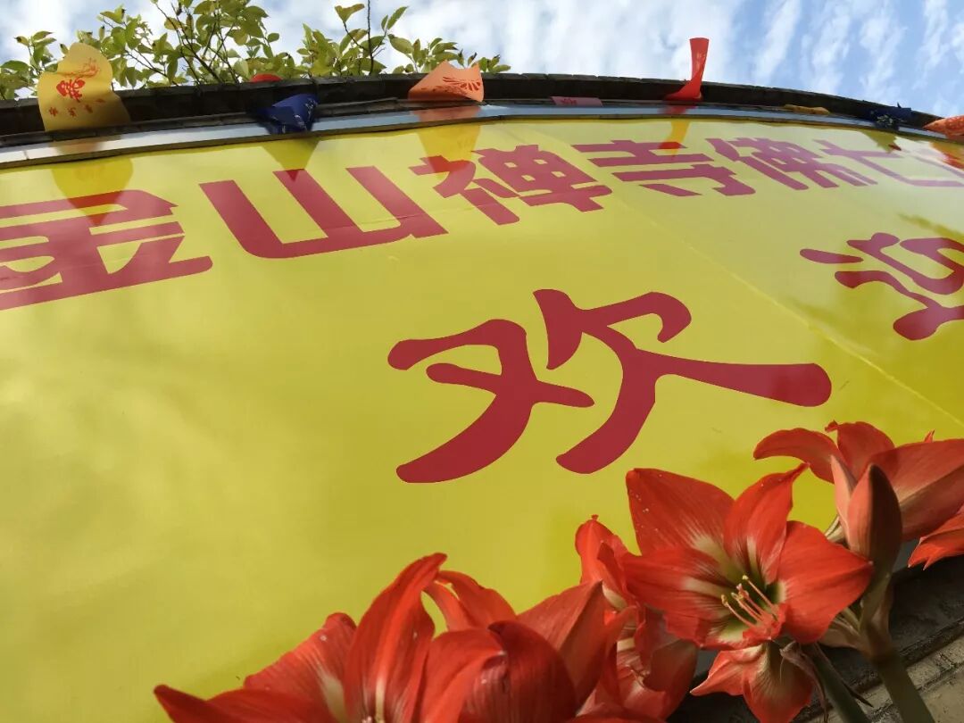 佛七丨广东肇庆金山禅寺2021年七月佛七法会通启