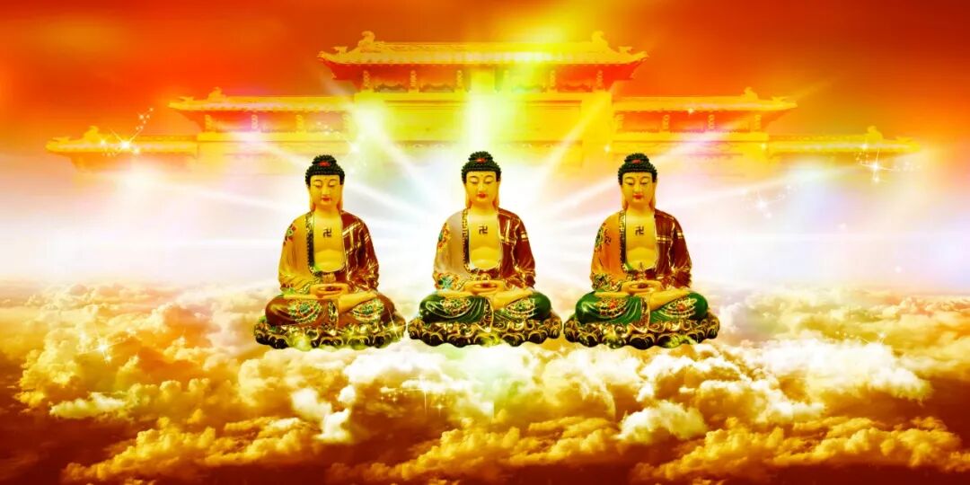 佛七丨广东肇庆金山禅寺2021年七月佛七法会通启