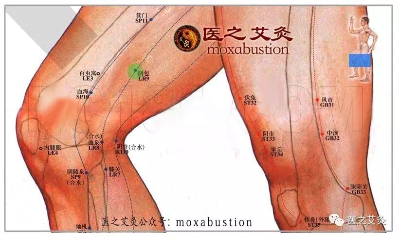 阴包穴
