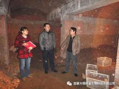 红薯收货后怎么保存？红薯防腐烂保鲜技术及常用药剂详解