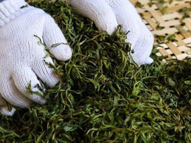 �ڳ�ح12������գ��ն���ƴ���ʦ���Ļ����¾�92��ש����֮��