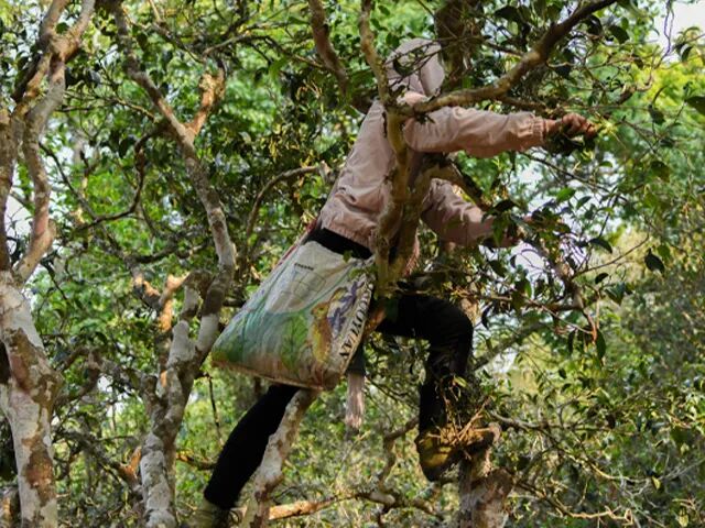 �ڳ�ح12������գ��ն���ƴ���ʦ���Ļ����¾�92��ש����֮��