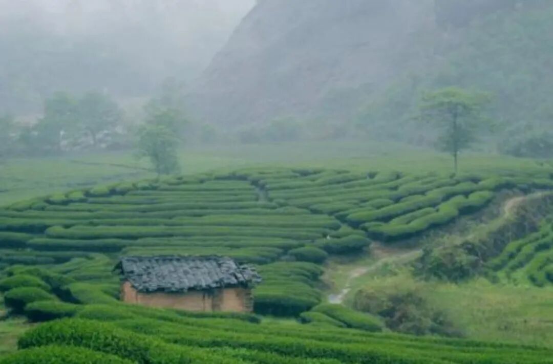 ����������Ҵ���ۣ�12��»�������ѵã���һ����һ�ڣ�