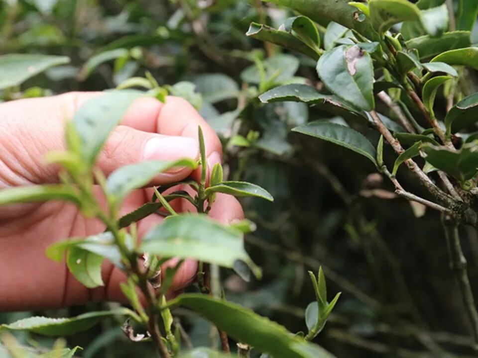 ����������Ҵ���ۣ�12��»�������ѵã���һ����һ�ڣ�