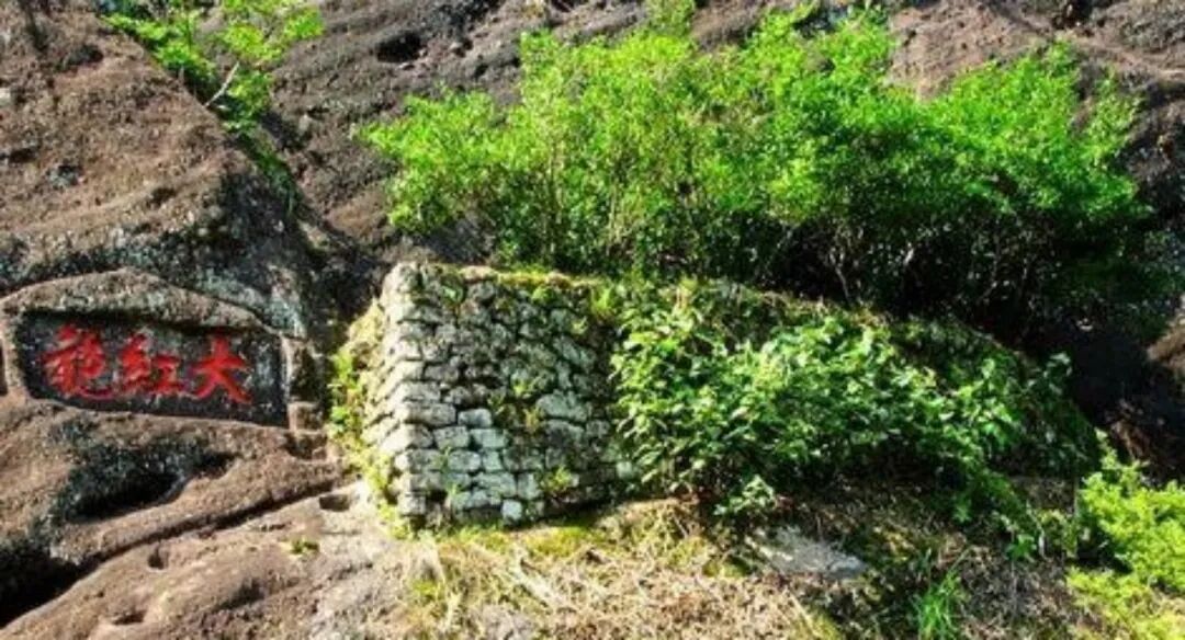 ����������Ҵ���ۣ�12��»�������ѵã���һ����һ�ڣ�