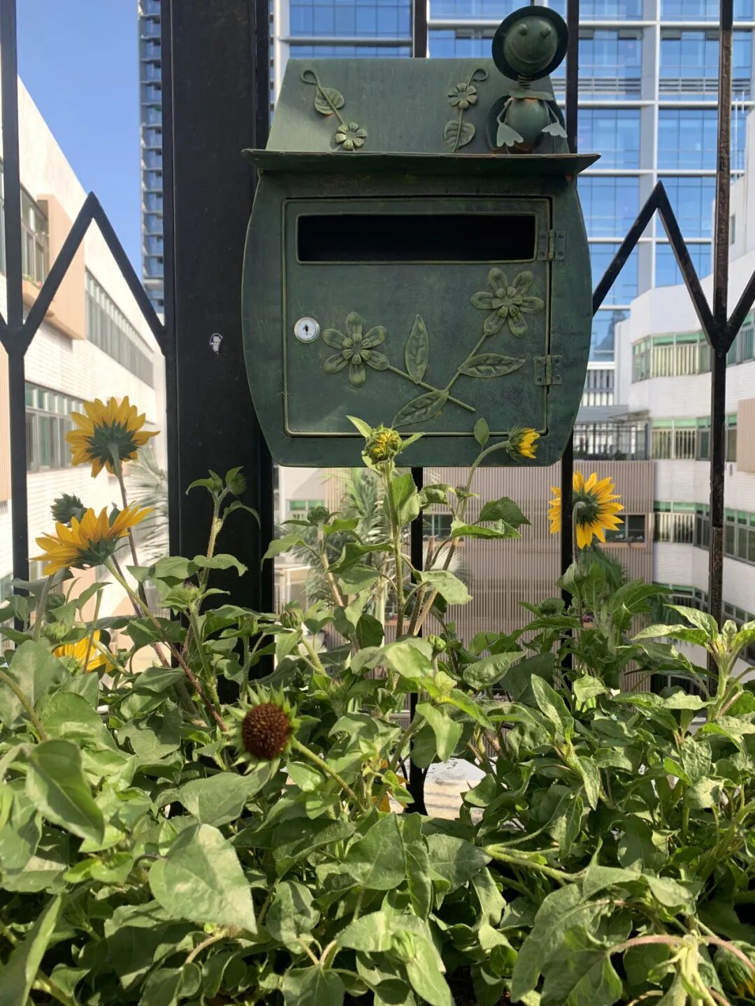 园艺疗法福田区榕悦城市长者照料中心植愈心灵共建更美的家