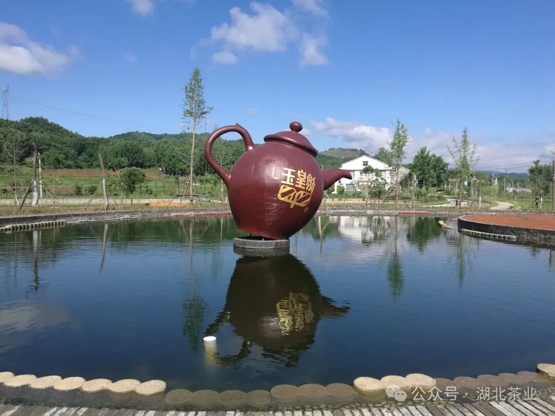茶乡访茶游学 打卡茶乡美景