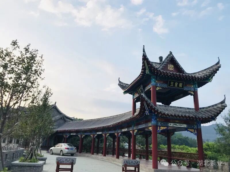 茶乡访茶游学 打卡茶乡美景