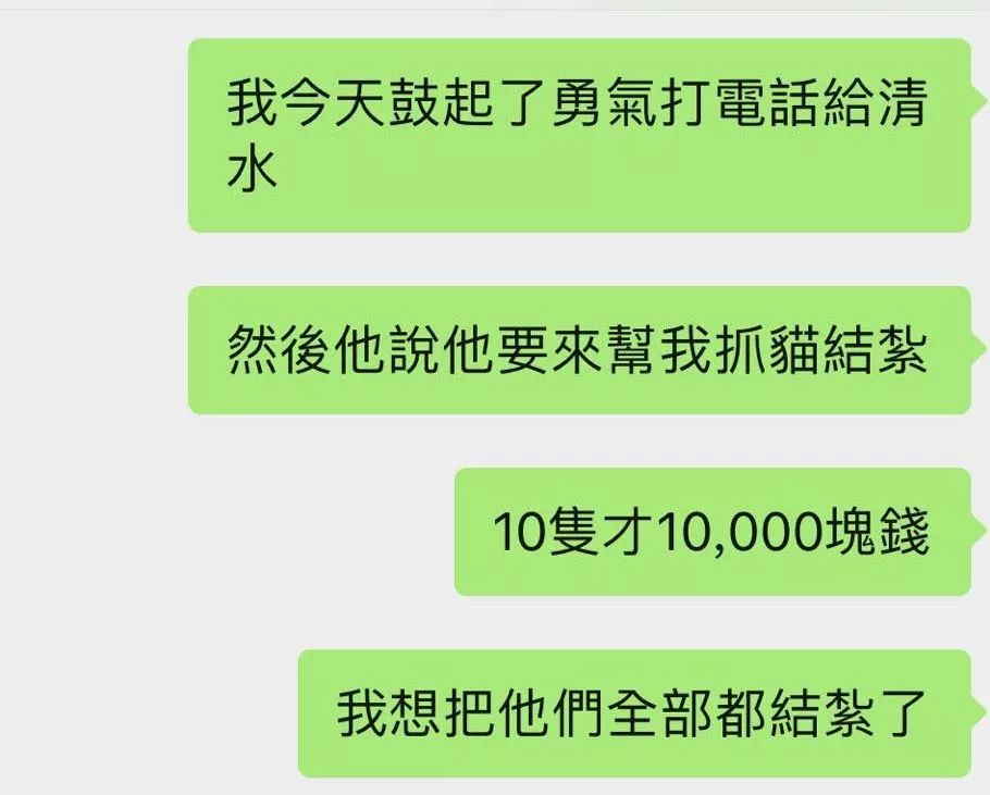 我在東京喂流浪貓：遇過最好的貓，也見過最壞的人 寵物 第29張