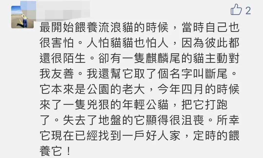 我在東京喂流浪貓：遇過最好的貓，也見過最壞的人 寵物 第9張