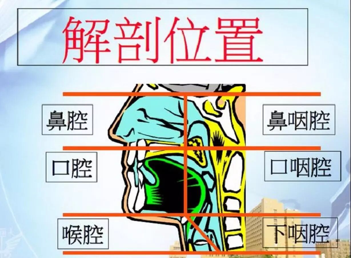 口腔感知障碍你如何训练让st告诉你