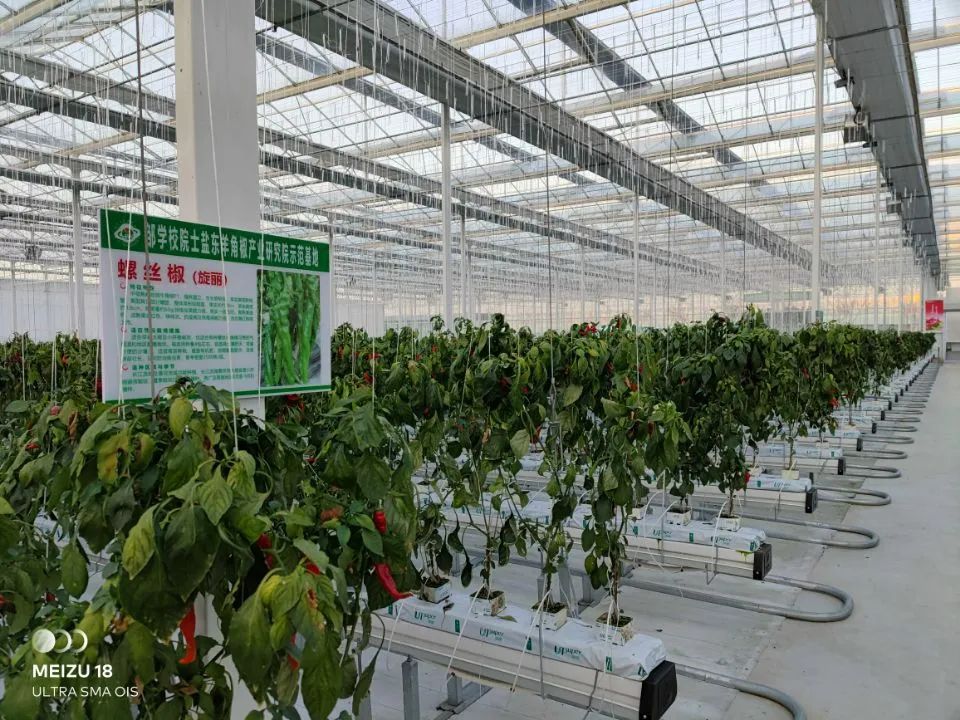 创成国家现代农业产业园1个,省级现代农业产业示范园(高质量发展示范